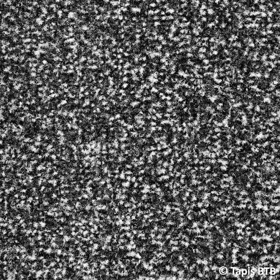   Tapis d&#039;accueil anti-poussière très absorbant | Welcome  - Tapis d'accueil et de propreté