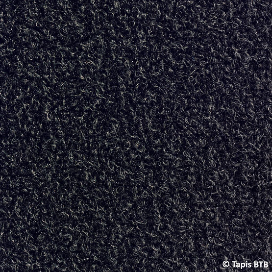  Tapis d&#039;entrée grattant extérieur et intérieur | Capture - BTB BENOIT LE TAPIS BROSSE