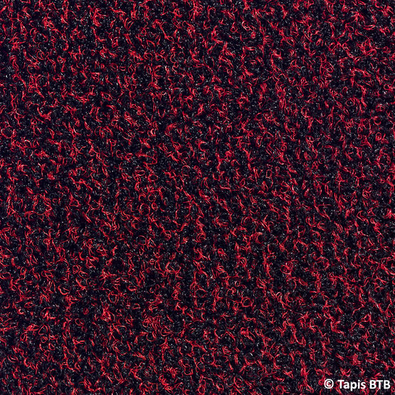 Tapis d&#039;entrée grattant extérieur et intérieur | Capture - produit présenté par BTB BENOIT LE TAPIS BROSSE