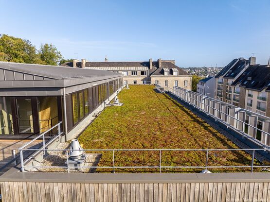  Tapis végétal précultivé pour toiture plate ou en pente | SUCCULIS et SAXATILIS - Végétalisation pour toitures-terrasses