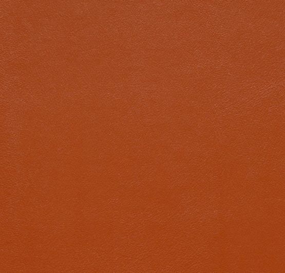  Tissu simili cuir pour siège, extérieur et accessoires | Velin or 0244-01 - LELIÈVRE