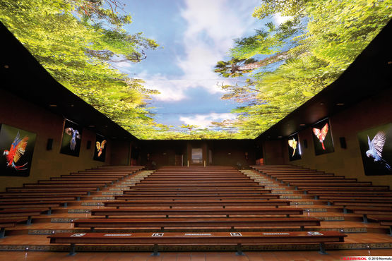  Toile tendue imprimée et acoustique | Print your Mind - Faux-plafonds tendus