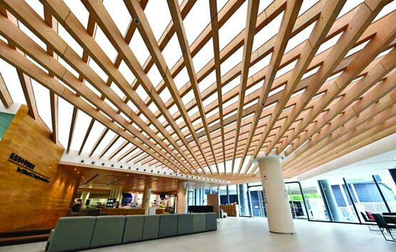 Toile translucide biosourcée pour plafond tendu lumineux | Polaris