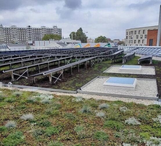 Toiture biosolaire, végétalisation et photovoltaïque | HELIOVERT - ECOVEGETAL