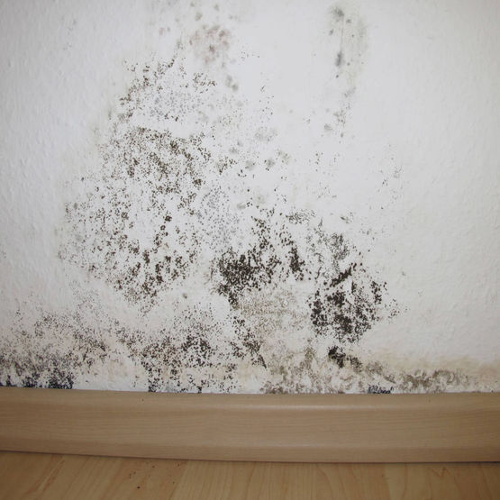  Traitement anti-humidité des murs intérieurs | EVERFAST BARIER - EVERFAST