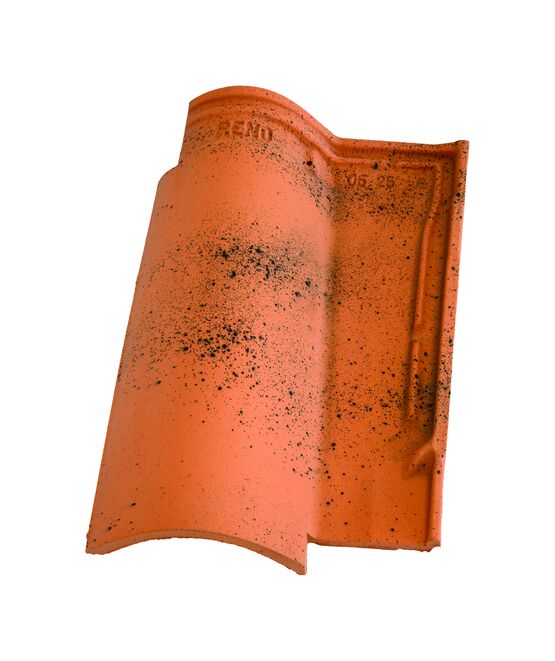  Tuile canal de terroir grand moule en différentes teintes | Mediane Reno Gelis - Tuile canal