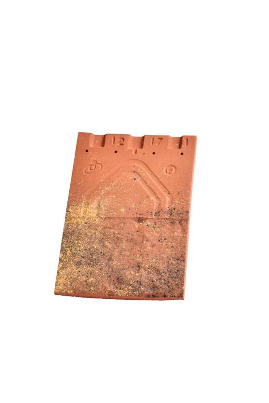 Visuel produit unitaire tuile PLATE 20X30 Huguenot coloris Gabarre