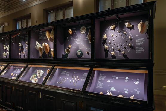  Verre anti-reflet anti-effraction | Clearsight P6B - AGC GLASS FRANCE