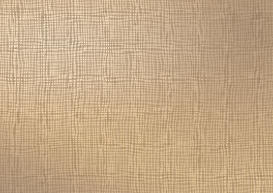  Verre argenté Madras® | Modéle: Lino Silver - Verres spéciaux