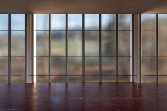  Verres imprimés en relief à faible empreinte carbone | Imagin - Verres décoratifs