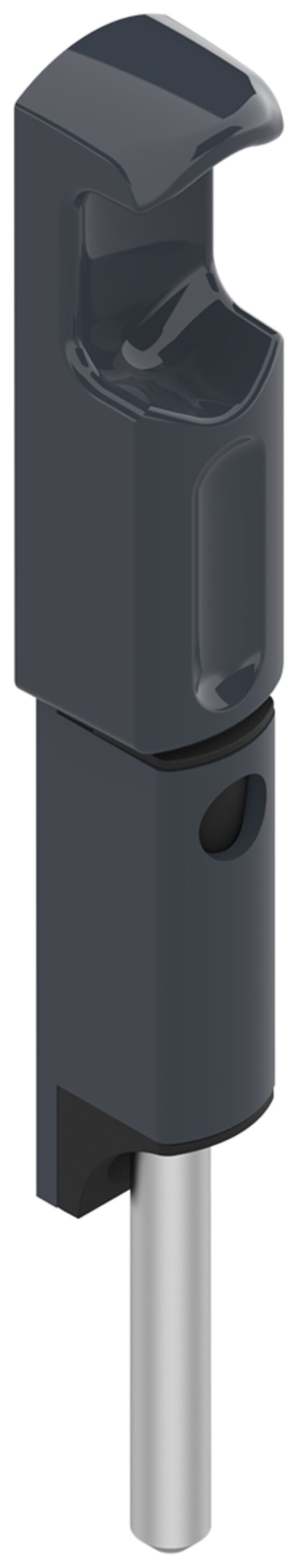  Verrous en applique - Porte d'entrée en matériaux mixtes