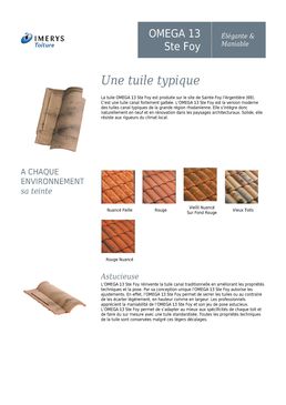 Tuile terre cuite fortement galbée | Omega 13 Ste Foy