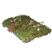 Bac précultivé pour toiture végétale | ECOSEDUM PACK 