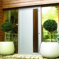 Portes d'entrée en aluminium | Allis