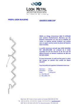Profil look building | LBA2053.1688.CAP