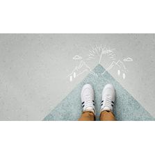 Programme Carbon Neutral Floors