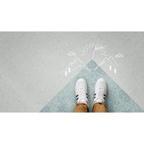 Programme Carbon Neutral Floors