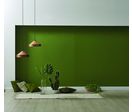 Peinture biosourcée pour revêtement intérieur | Naturalist
