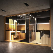 Combiné sauna/hammam/douche | Sasha