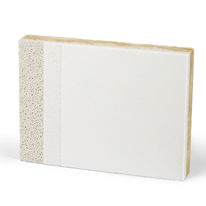 Système acoustique pour voutes, murs et plafonds | BASWA Phon