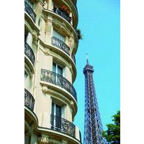 Traitement cataphorèse pour persiennes métalliques thermolaquées | Oxyd'resist