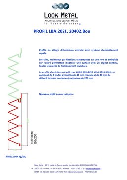 Profilé en alliage d’aluminium extrudé | LBA.2051. 20402.Bou
