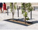 Grille d’arbre en plats sur chant  | Cambridge