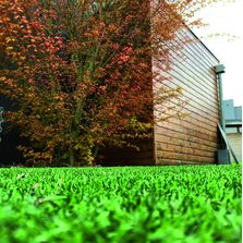 Gazon synthétique  à 4 couleurs de brins tuftés coupés | Eden Premium