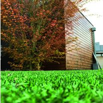 Gazon synthétique  à 4 couleurs de brins tuftés coupés | Eden Premium