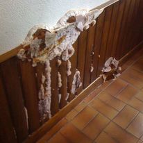 Traitement du salpêtre, mérule et moisissures sur mur humide | ISOSEC