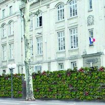 Mur balistique végétalisé pour sécurisation de l'espace urbain | Mur Green Sentinel