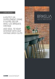 Catalogue BRIKELIA : Briques Vintage de parement mural en terre cuite naturelle