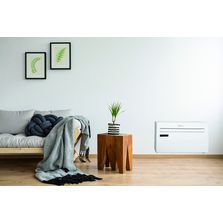 Climatiseur réversible monobloc sans unité extérieure | WDH 229