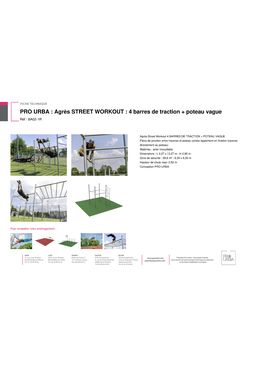 Agrès STREET WORKOUT : 4 barres de traction + poteau vague  | BA02-1R