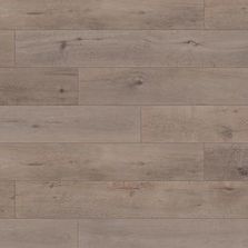 Revêtement de sol stratifié hydrofuge en bois Dureco Classic Line | A07 Chêne gris taupe lame large