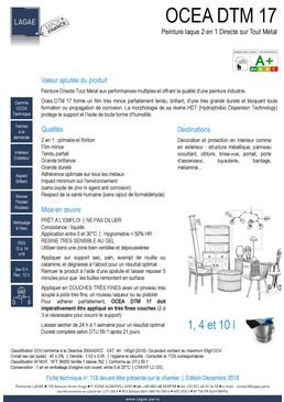 Peinture laque 2 en 1 pour la protection et la finition de structures métalliques | Océa DTM 17