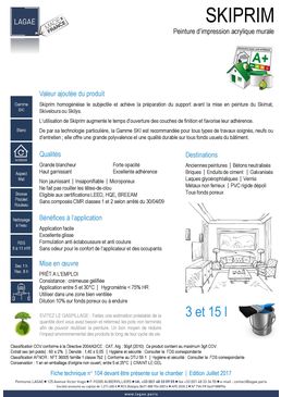 Peinture d’impression acrylique murale | SKIPRIM