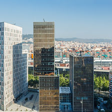 Tissu transparent 100 % verre pour stores intérieurs | Screen Nature