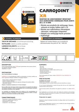 Mortier de jointoiement résistant aux agressions chimiques | CARROJOINT XR