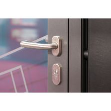 Porte d'entrée vitrée antivandalisme en profils d'acier | Portavie