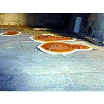 Emulsion pour traitement antimérule | Xilix 2000 MER