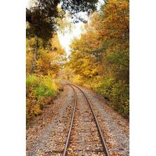 Gel de traction | RAILGRIP®