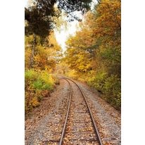 Gel de traction | RAILGRIP®