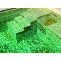 Mortier-colle polyvalent pour carrelage en locaux humides et piscines | 526 Proliaqua