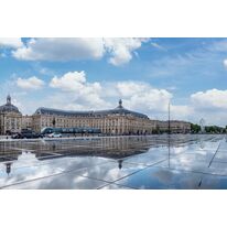 Ardoise naturelle pour monuments historiques