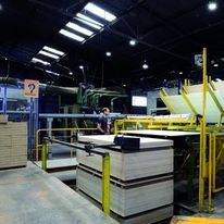 Panneau de contreplaqué à collage biosourcé et placages certifiés | R'Ply