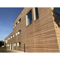 Revêtement bois naturel pour façades | Bardage en mélèze 