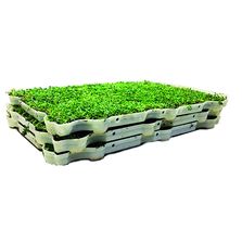 Plateau précultivé en bioplastique pour toiture | Plateau Vertige