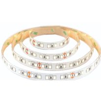 Ruban led dimmable 3528 Pro - 9.6W - IP20 | Néon France