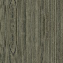 Panneaux de verre sérigraphié trempé de grandes dimensions avec un motif polychrome | SERISTAL FOREST